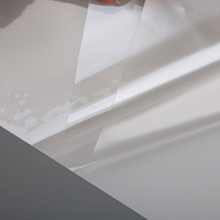 Paint Protection Film